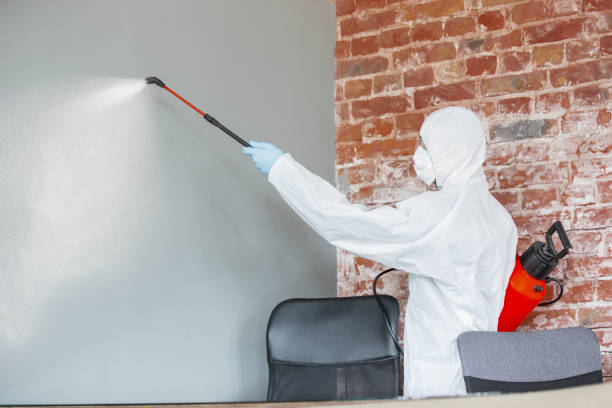 Best Residential Mold Inspection & Testing  in Safford, AZ