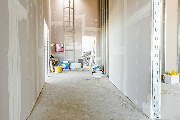 Best Commercial Mold Inspection  in Safford, AZ
